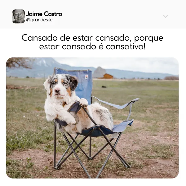 Cachorro da raça Border Collie, com pelagem preta, branca e marrom, sentado em uma cadeira de acampamento azul em um campo gramado. O cachorro tem uma expressão facial entediada e relaxada, com uma pata apoiada no braço da cadeira. Ao fundo, montanhas e uma construção rústica.