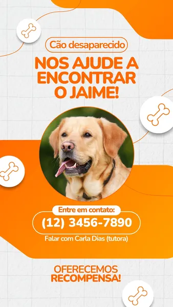 Story para Instagram com fundo laranja e branco, exibindo a foto de um cão labrador sorrindo. O texto principal diz 'Cão desaparecido: Nos ajude a encontrar o Jaime!', com informações de contato e menção a recompensa.