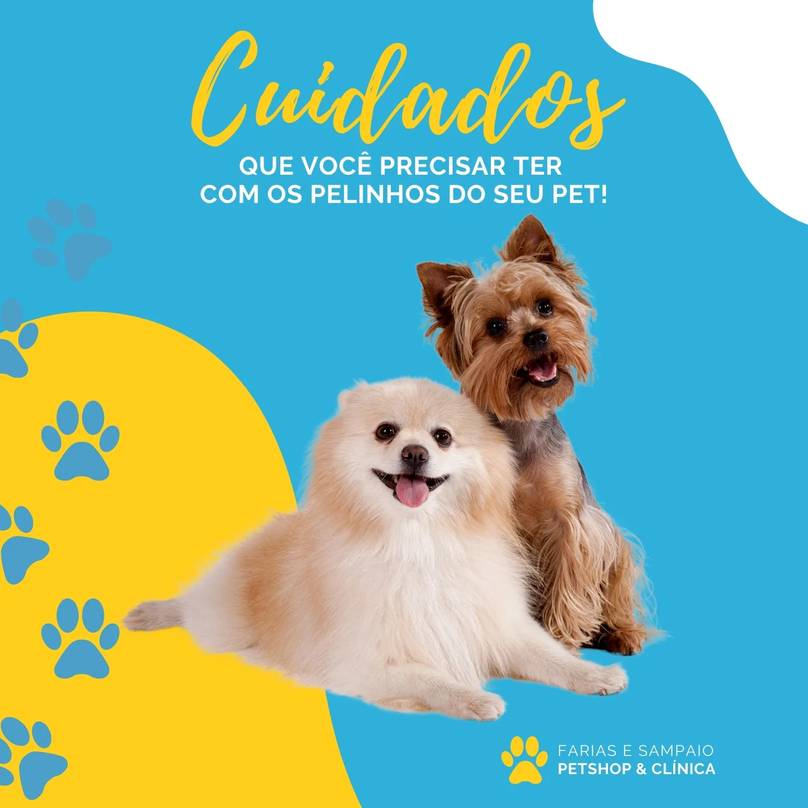 Post de feed para Instagram com fundo azul e detalhes em amarelo, apresentando dois cachorros fofos. O título 'Cuidados' em amarelo destaca dicas para donos de pets, ideal para petshops e clínicas veterinárias.