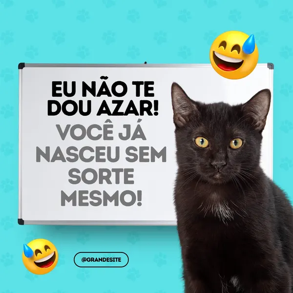 Template de post para redes sociais com fundo azul claro e patinhas de gato. Um gato preto com olhos amarelos está ao lado de uma lousa branca com a frase "EU NÃO TE DOU AZAR! VOCÊ JÁ NASCEU SEM SORTE MESMO!". Emojis de risada com gota de suor completam o design.
