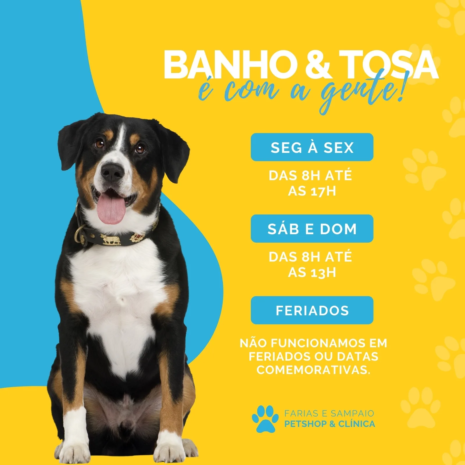 Post para Instagram com fundo amarelo e azul, apresentando um cachorro da raça Bernese. O texto informa os horários de banho e tosa de segunda a sexta e finais de semana, além de indicar que não há expediente em feriados.