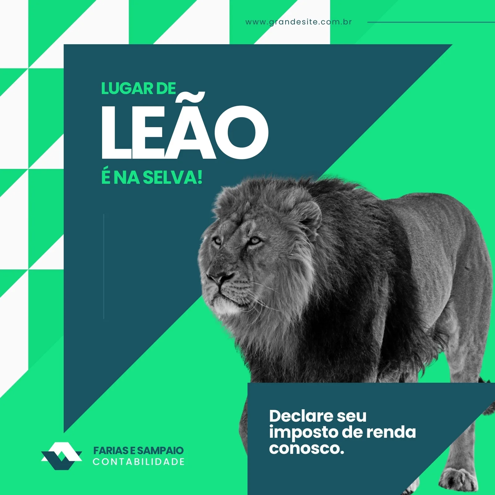 Template de post para Instagram com fundo verde vibrante e um leão majestoso em preto e branco. O texto principal diz "Lugar de Leão é na Selva!". Na parte inferior, um convite para declarar o Imposto de Renda com a logo de uma contabilidade.