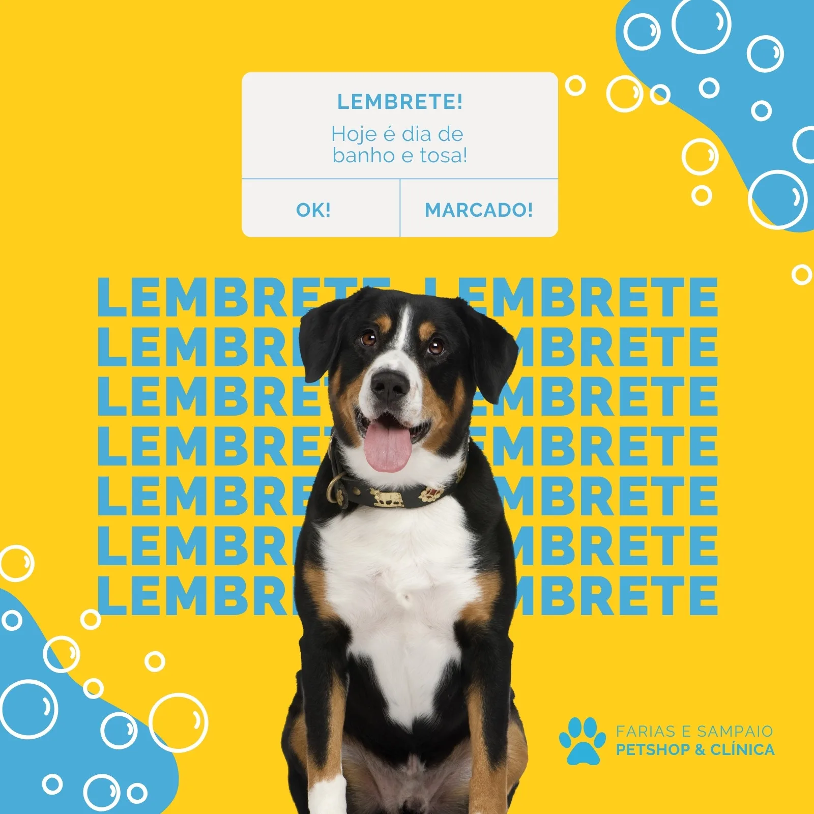 Post de Instagram com fundo amarelo vibrante e o texto "LEMBRETE! Hoje é dia de banho e tosa!". Um cachorro da raça Bernese Mountain Dog sorri no centro, com bolhas azuis e brancas decorando os cantos. Inclui logo de petshop e clínica veterinária.