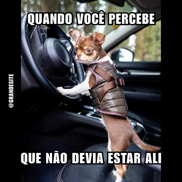 Um cachorro da raça chihuahua, usando um colete acolchoado, está em pé no banco do motorista de um carro, com as patas dianteiras no volante. O texto sobreposto diz 'QUANDO VOCÊ PERCEBE QUE NÃO DEVIA ESTAR ALI', transmitindo uma sensação de surpresa e humor.