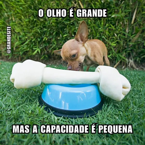 Um cachorro pequeno com olhos arregalados olha para um osso gigante sobre uma tigela azul. O texto diz 'O olho é grande, mas a capacidade é pequena'. O fundo é grama verde e arbustos.