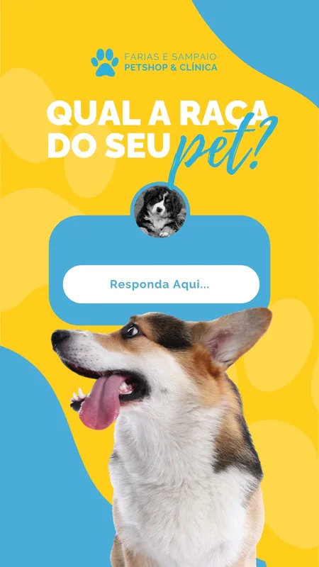 Template de Instagram Story com fundo amarelo e azul vibrante, apresentando um cachorro curioso. O texto central pergunta 'Qual a raça do seu pet?' com um campo de resposta interativo, perfeito para engajamento de petshops e clínicas veterinárias.