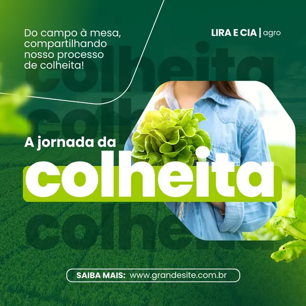 Post para Instagram com fundo verde e branco, exibindo uma pessoa segurando alface fresca. O texto "A jornada da colheita" em destaque, com o subtítulo "Do campo à mesa, compartilhando nosso processo de colheita!". Ideal para divulgar o agronegócio.