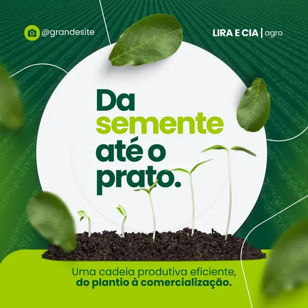 Post de Instagram com fundo verde de plantação, destacando mudas crescendo em terra. O texto principal 'Da semente até o prato' em verde e branco, com folhas e o slogan 'Uma cadeia produtiva eficiente, do plantio à comercialização'.