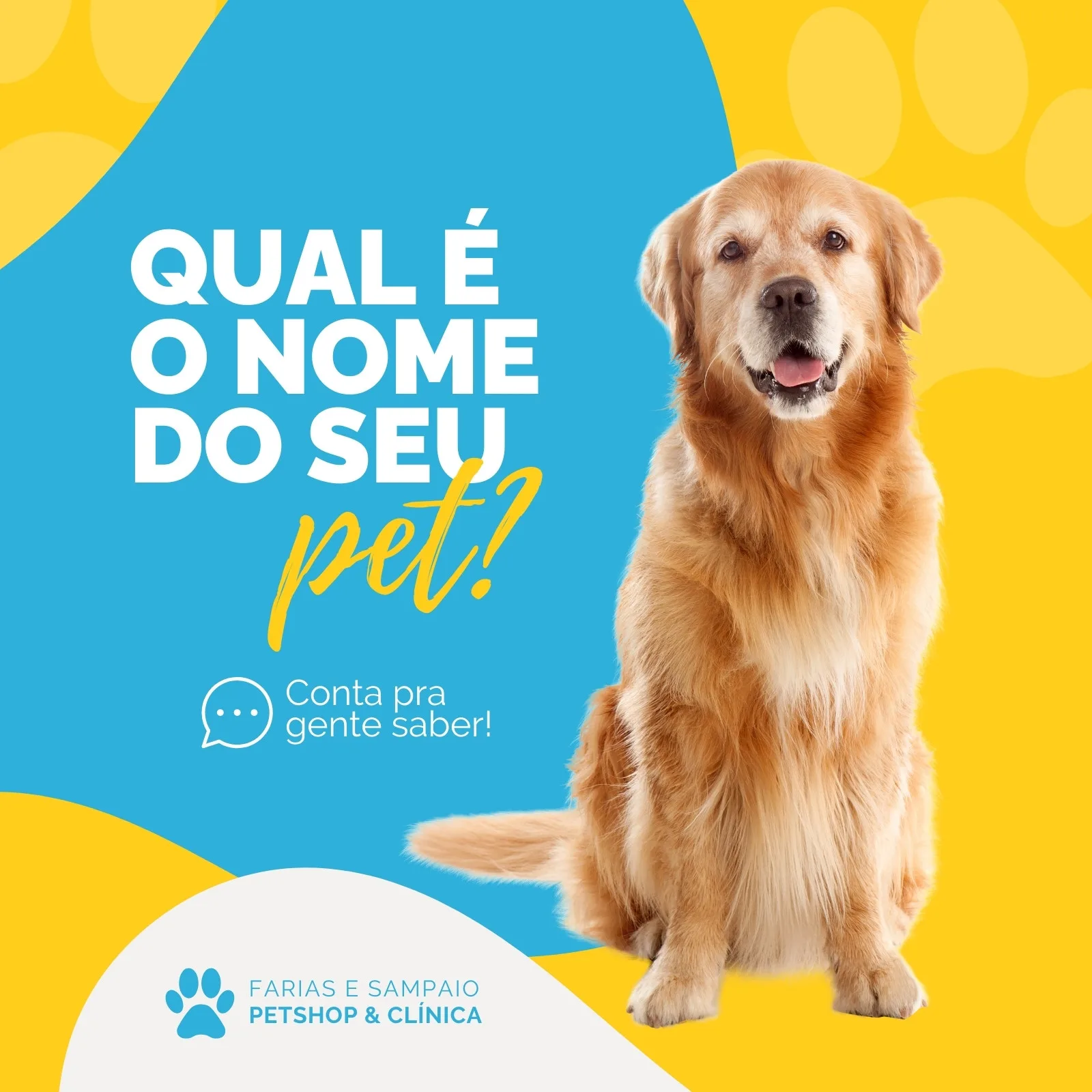 Post para redes sociais com fundo amarelo e azul vibrante, apresentando um golden retriever sorridente. O texto principal em branco e amarelo pergunta 'Qual é o nome do seu pet?'. Na parte inferior, o logo de um petshop e clínica veterinária.